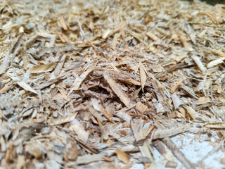 Coarse sawdust from wood chips.
