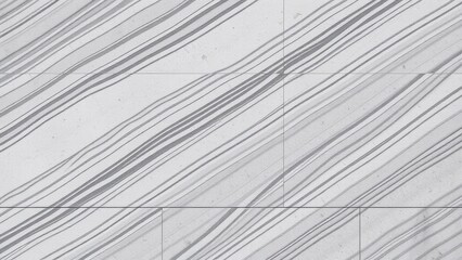 Obraz premium Black and white line texture illustration