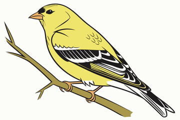 66 goldfinch, illustration of a bright yellow songbird, detailed feathers, hyper-realistic, vibrant, realistic, digital painting, 4k resolution, photorealistic, highly detailed, intricate