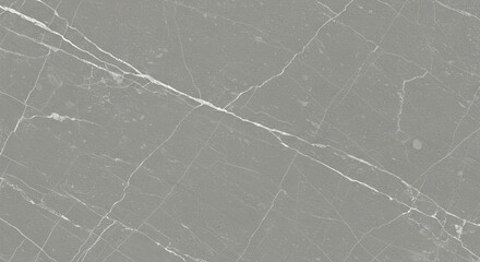 Gray Marble Texture with White Veins