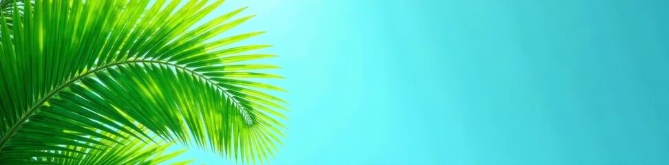 Obraz premium Tropical palm leaves in a vibrant green hue against a blue sky background, green, nature