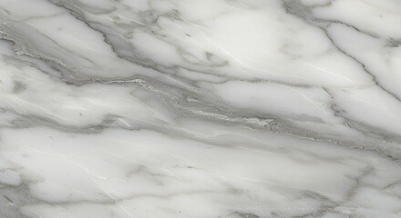 Obraz premium White marble with grey veins