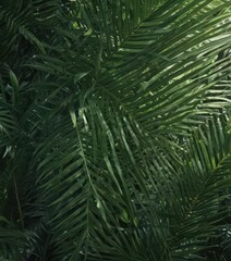 Intricate palm leaf details, sunlight filtering, rich emerald hues ,  high resolution,  green,  leaves