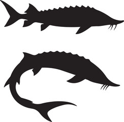 Sturgeon Fish Silhouette Set Vector Collection of Freshwater Fish. 