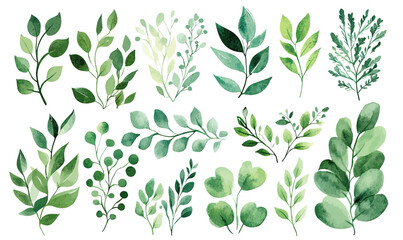 Set of hand painted watercolor green leaves and branches collection with various shapes and natural style isolated on white background for design elements and backgrounds