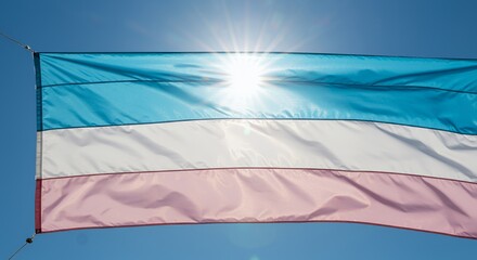 Transgender Pride Flag Horizontally Striped with Light Blue Pink and White Bands Waving Under Bright Sunlight Against a Clear Blue Sky