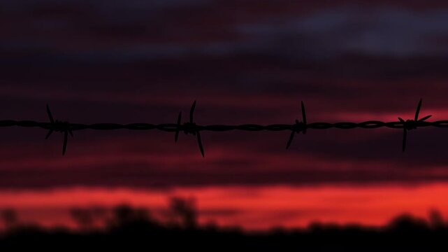 Barbed Wire Silhouette: A stark silhouette of barbed wire against a fiery, emotive sunset sky, sparking thoughts of constraint and the boundary.