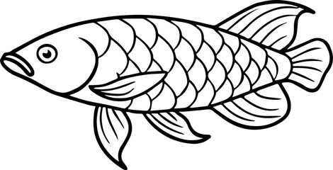 arowana fish outline vector illustration line art
