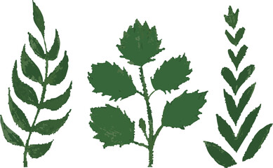 おしゃれな葉3点セット