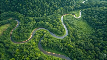 Winding River Through  Rainforest