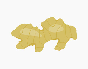 Whole ginger root or rhizome flat illustration design