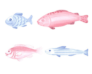 Pink and blue fish set watercolor illustration for baby designs. North undersea wild animals isolated. Hand drawn underwater inhabitants of arctic sea and ocean. Marine cute character in sketch style