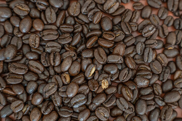 Fresh organic raw coffee beans background