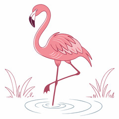 Obraz premium Graceful Flamingo Standing on One Leg in Water