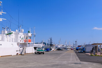 Fototapeta premium 漁港の春 船と海と 