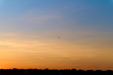 Nature, Ocean, Sky, Sunset and Birds