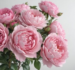Obraz premium Fresh pink rose and peony bunch, elegant floral arrangement, white backdrop , wedding, flowers