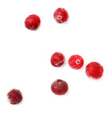 A bunch of red berries with a white background