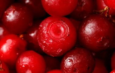 A close up of a bunch of red berries