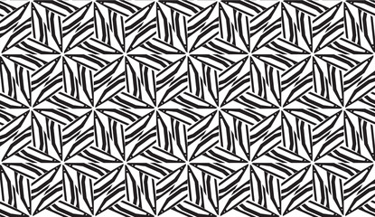 New elegant background with curved line in triangular style. Vector. Black, White. Smart business design.