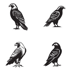 Fototapeta premium Falcon Silhouette Clipart Set