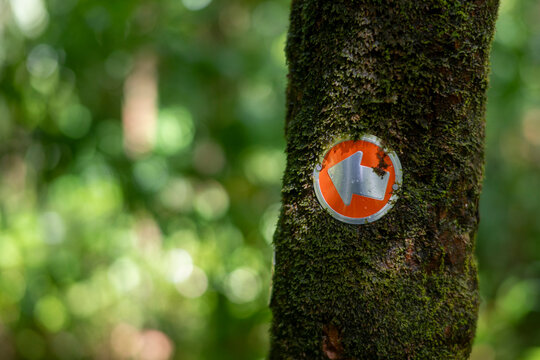 arrow sign pointing left moss covered tree hiking trail