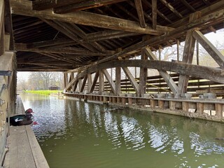 Ducks resting inside wooden covered bridge over calm green canal