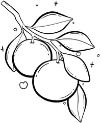 Oranges on a Branch Outline On Transparent Background