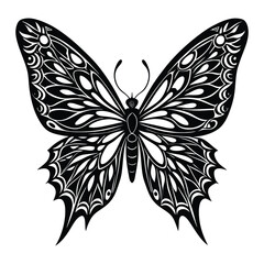 Butterfly silhouette, intricate wing pattern, vector