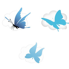 Blue Butterflies on White Clouds