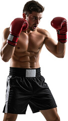 Boxer in action stance, wearing gloves, muscular male athlete isolated on white background