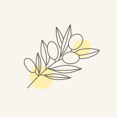 Olive branch with leaves and berries. Elegant vector line botanical illustration. 