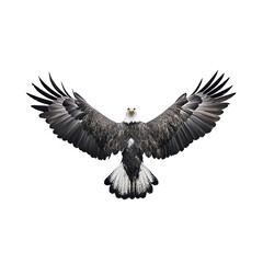 Obraz premium Majestic Bald Eagle Soaring on a Transparent Background