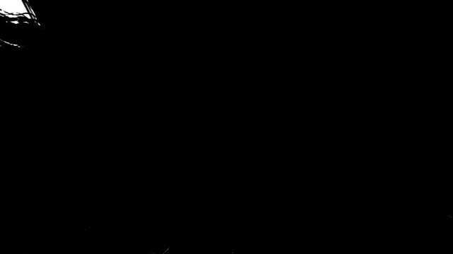 hand drawn paintbrush transition animation of paint splash