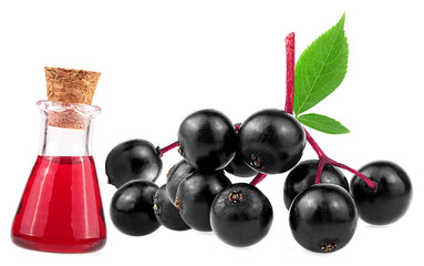 Young berries of elder with green leaves and elderberry syrup in glass bottle isolated on a white background. European black elderberry fruit. Sambucus.