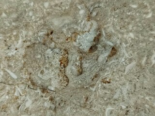 Abstract granite texture, looks very beautiful and natural for walls and floors