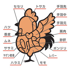 Obraz premium 鶏肉の部位のイラスト 文字あり