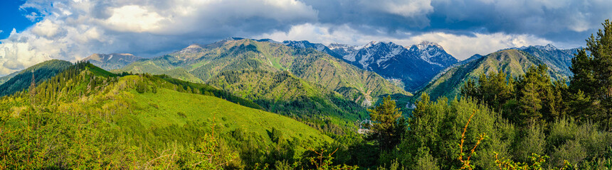 Fototapeta premium panoramic mountain landscape with contrasting snowy peaks and lush green slopes under dramatic cloudy sky