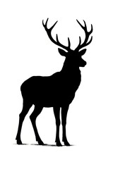 Fototapeta premium Majestic Deer Silhouette with Large Antlers Against a Clean Background