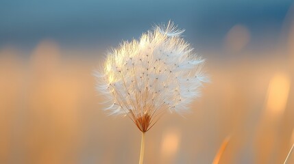 A single dandelion seed head caught in a gust of wind, its delicate seeds scattering into the air against a blurred background, representing fragility and hope