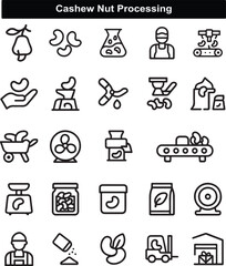 Cashew Nut Processing Steps