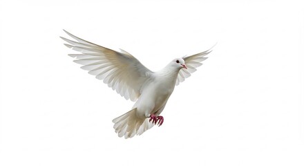 白い鳩 静かに羽ばたく 平和な飛行. AI Generated