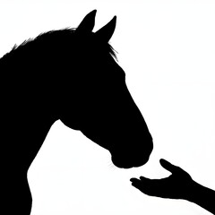 Silhouette of a Horse and Human Hand Reaching Out – Symbol of Connection and Bond