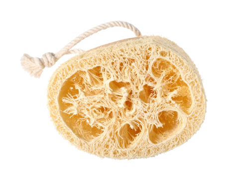 Intricate texture of white fungus on black background, a study in contrast and detail