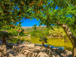 Artificial lake in the botanical gardens (Botanical Park & Gardens Of Crete, Greece)