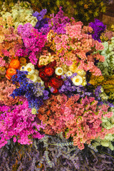 Hanging flowers, nature background, close up view, colorful vivid tones, plants	