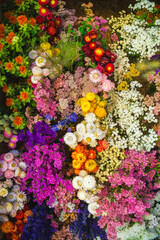 Hanging flowers, nature background, close up view, colorful vivid tones, plants	
