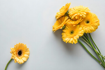 Decorative colorful daisy flowers on a background