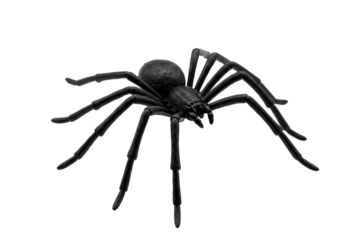Comic horror black rubber spider toy for Halloween, isolated on transparent background