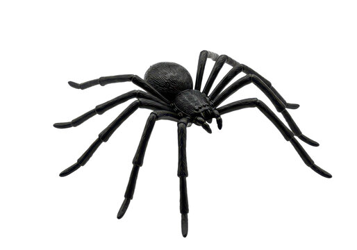 Comic horror black rubber spider toy for Halloween, isolated on transparent background